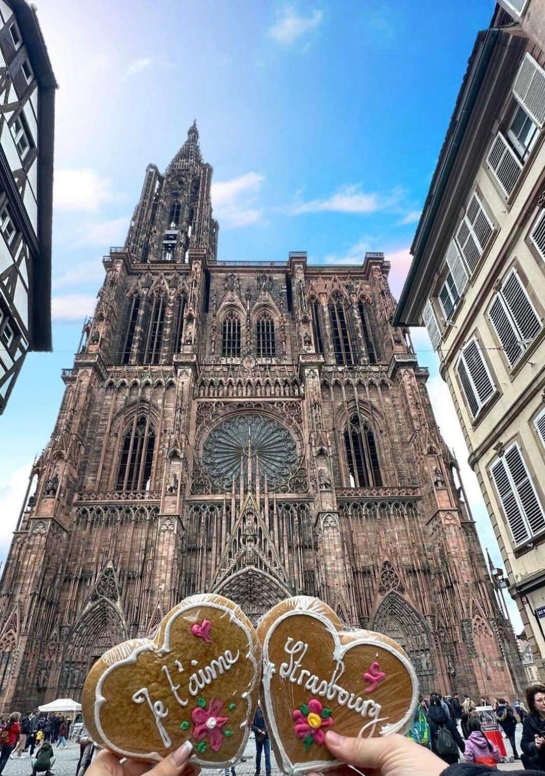 Appart & Studio Hyper Centre De Strasbourg - Proche Cathedrale & Petite France Екстер'єр фото